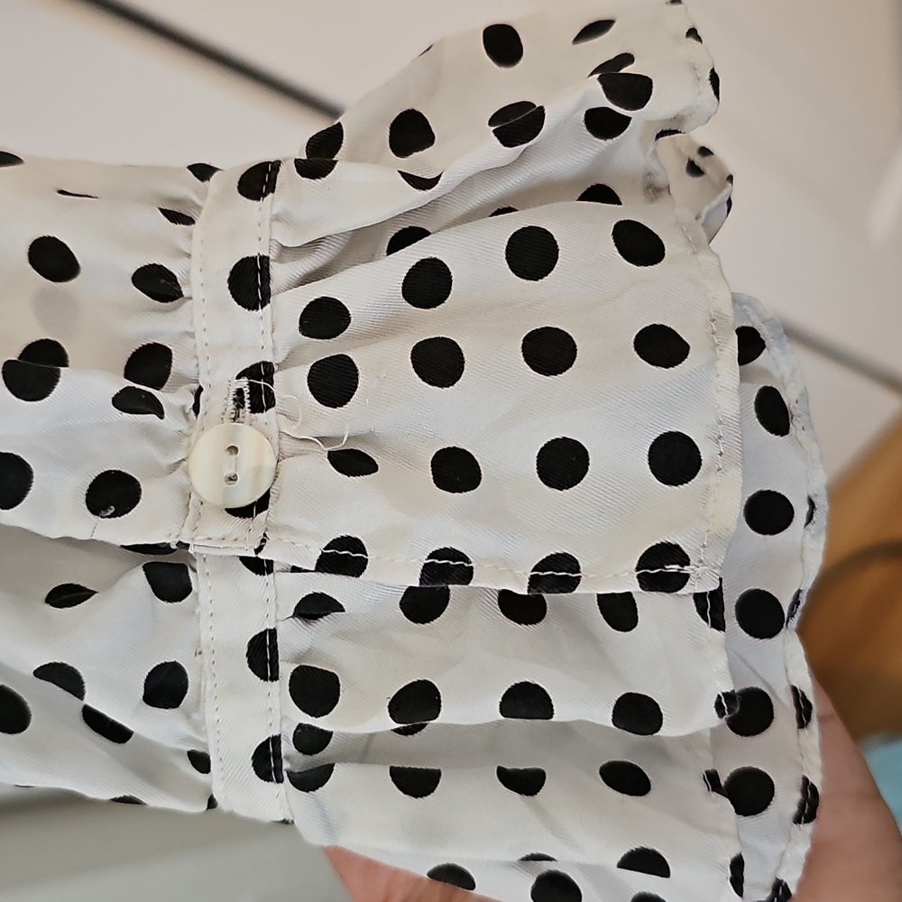 Polka Dot Ruffled Blouse - Picture 3 of 5